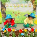 해린어린이집 이미지