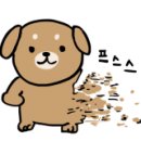 오렌지세차장 이미지