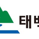 태백시치매안심센터 이미지