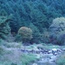 용소마을영농조합법인 이미지