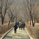 서리풀공원 이미지