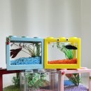 성빈농장 이미지