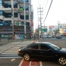 나눔터 오리 이미지