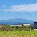 보성초신평분교장 이미지