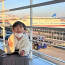 터미널성인오락실 | 부관훼리 하마유호 후기｜아이와 1등실 2인실 업그레이드 &amp; 선내 식당