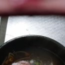 전복에굴에