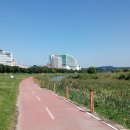 하천(갑천5) 이미지