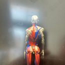 뉴로얄카정비센타 | 마포필라테스 찾는다면, 정통 클래식필라테스를 경험할 수 있는 페블필라테스 마포공덕점 후기