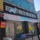 안산펫택시 이미지