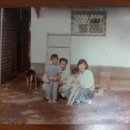 대화반점 이미지