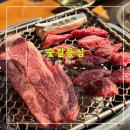 숯의힘 | 숯길등심 홍대본점 <<경의선숲길 맛집 신촌소고기>>