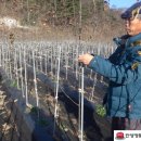 유인목장 이미지