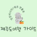신화3동회관 클린하우스 | 2025년 제주 여행, &#34;항공권 최저가!&#34; 놓칠 수 없는 핫플부터 렌트카, 숙소까지 완벽 로드맵!