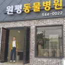 원평동물병원 이미지