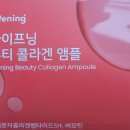 다모아인셀덤