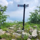 임존성낚시터 이미지