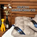 송림 | 꿀잠템 송림라이프 빨아쓰는 베개 후기