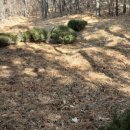 중암농장 이미지