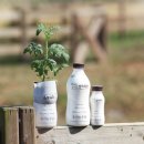 대림목장 이미지