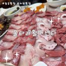 울타리활어센타