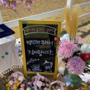 고제초등학교 이미지