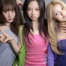피티파크