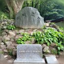 마티고개 이미지