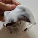 쿠팡 내돈내산)허니브로푸드 앙꼬절편 솔직후기