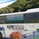 백두항공여행사 이미지
