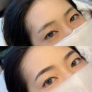 스튜디오커넥터&더그리다뷰티