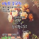 5월31일 고발뉴스 이미지