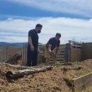 김봉수 농장 이미지