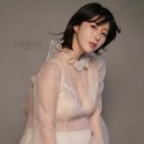 나비컴퍼니 이미지