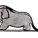 어린왕자 이미지