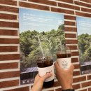 카페누비 이미지