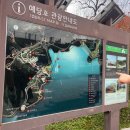 마그내다리승강장 | 예산 가볼만한곳 출렁다리 예당호 모노레일 예산여행