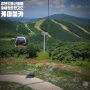 구름연못 | [강원도] 정선 하이원 운탄고도 케이블카 운영시간, 도롱이연못 트레킹 후기