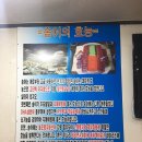 금왕송어회 | 금왕송어비빔회 금왕맛집 금왕횟집추천 송어비빔회맛집솔직후기