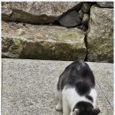 뮤즈세움 이미지