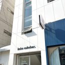 코호케이크바 네이버블로그