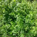 금사초등학교 이미지