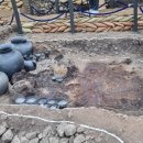 이채경 카카오 검색결과