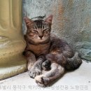 청석학원 | 고시원 럭키하우스남성전용 노량진점, 서울특별시 고시원의 숨은 장점