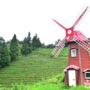 (주)제주모아투어 이미지