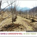 상주부동산