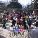 재활용장터 보물섬 이미지