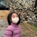 산막이옛길 하얀집 이미지