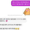팡앤팡