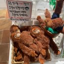 수원 행궁동 가볼만한 곳 귀여운 소품샵 LUCKHEE