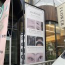 JH라피네 | 압구정 라피네스튜디오 :: 속눈썹펌 후기